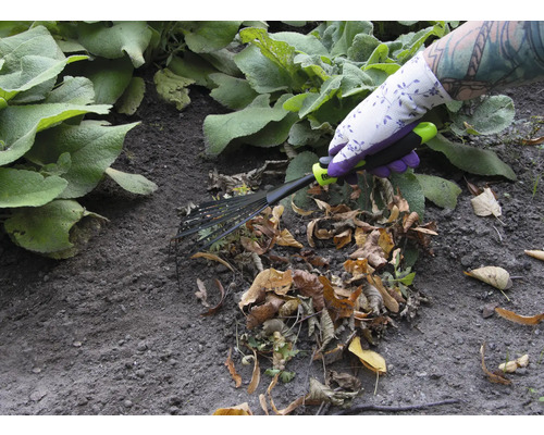 Osoba se zahradními rukavicemi používá vějířové hrábě k odstraňování listí.
