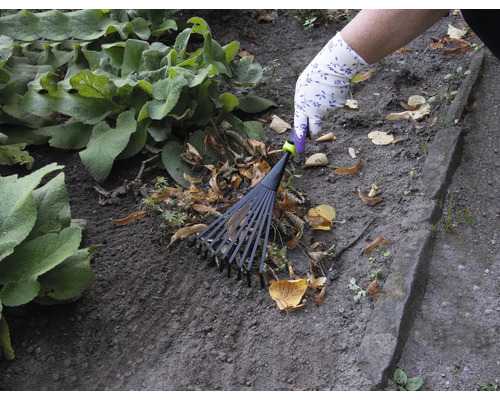 Osoba hrabe listí hráběmi na listí na zahradě.