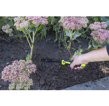 Ruka drží hrábě pro zahradničení vedle rostlin.