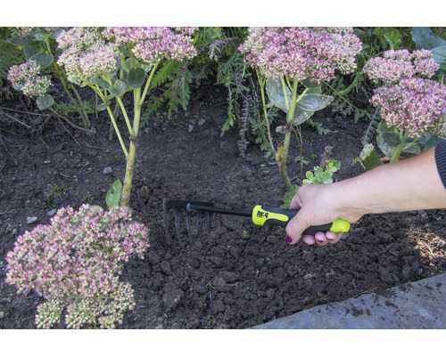 Ruka drží hrábě pro zahradničení vedle rostlin.