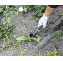 Zahradní scéna s rukou, zahradní rukavicí a vytrhávačem plevele v akci.