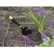 Zahradní scéna s malou zahradní lopatkou vedle rostliny s fialovými květy.