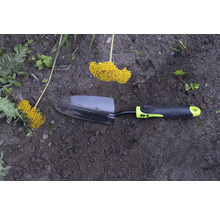 Zahradní lopatka se žlutým květenstvím v zahradním záhonu