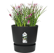 Květináč elho s rostlinou a miskou, integrovaný systém zavlažování, vyrobeno z recyklovaných materiálů.