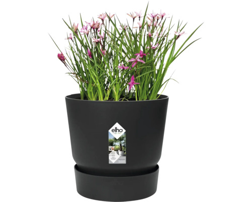 Květináč elho s rostlinou a miskou, integrovaný systém zavlažování, vyrobeno z recyklovaných materiálů.