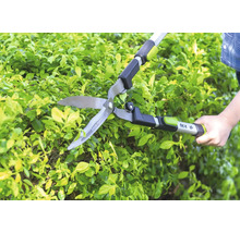 Ruční nůžky na živý plot for_q při stříhání zeleného živého plotu v zahradě.