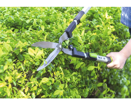 Ruční nůžky na živý plot for_q při stříhání zeleného živého plotu v zahradě.