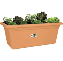 Obdélníkový truhlík elho v terakotové barvě osázený bylinkami a saláty, jako je petržel, pažitka a různé druhy listových salátů.