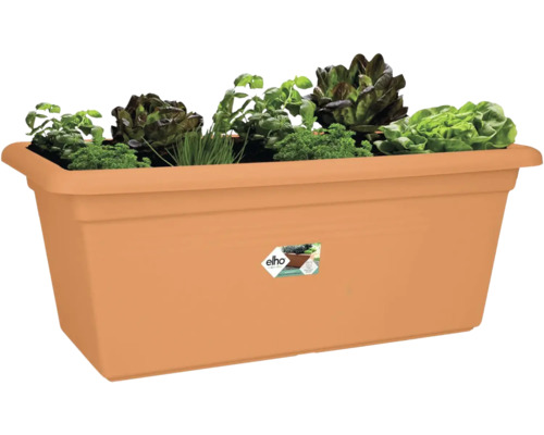 Obdélníkový truhlík elho v terakotové barvě osázený bylinkami a saláty, jako je petržel, pažitka a různé druhy listových salátů.