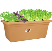 Truhlík Elho s bylinkami a salátem, obdélníkový, plastový, pro balkon a zahradu.