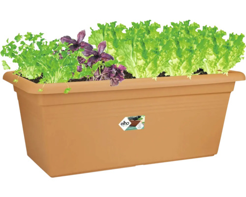 Truhlík Elho s bylinkami a salátem, obdélníkový, plastový, pro balkon a zahradu.
