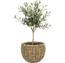 Sázecí koš Leah Sanur z přírodního vlákna Ø 50 cm H 40 cm šedohnědý včetně sázecí fólie