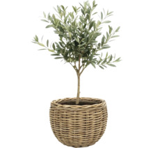 Sázecí koš Leah Sanur z přírodního vlákna Ø 40 cm H 30 cm šedohnědý včetně sázecí fólie