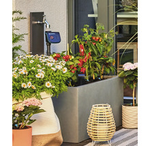 Zavlažovací počítač Gardena připojený k vodovodnímu kohoutku na terase s květináči a zeleninou.