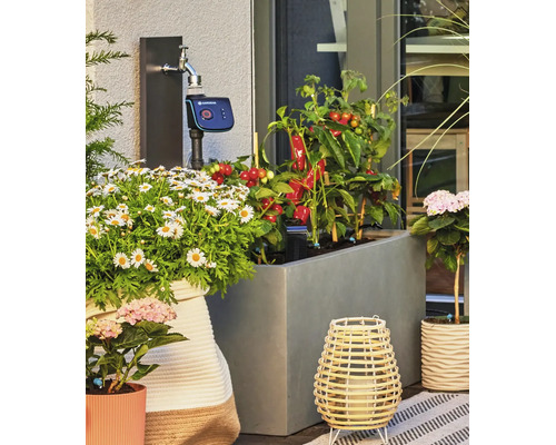 Zavlažovací počítač Gardena připojený k vodovodnímu kohoutku na terase s květináči a zeleninou.