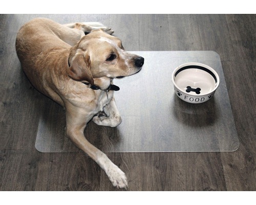 Pes leží vedle misky na krmivo na podložce