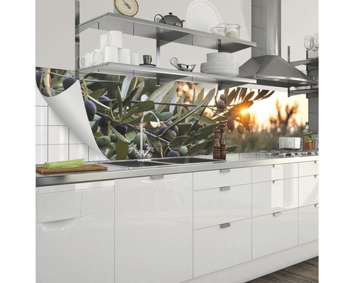Kuchyňská zástěna s motivem olivové větve v moderní kuchyni