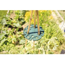 Držák bambusové tyče používaný v zahradě pro podporu rostlin