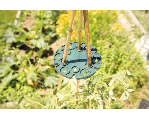 Držák bambusové tyče používaný v zahradě pro podporu rostlin