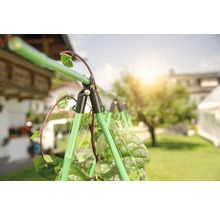 Podpěra rostlin v zahradě s popínavými rostlinami