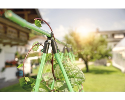 Podpěra rostlin v zahradě s popínavými rostlinami