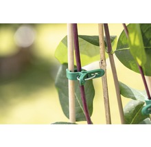 Spona na rostliny pro upevnění k tyčím pro rostliny