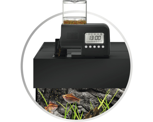 Akvárium s automatickým krmítkem pro automatické krmení ryb