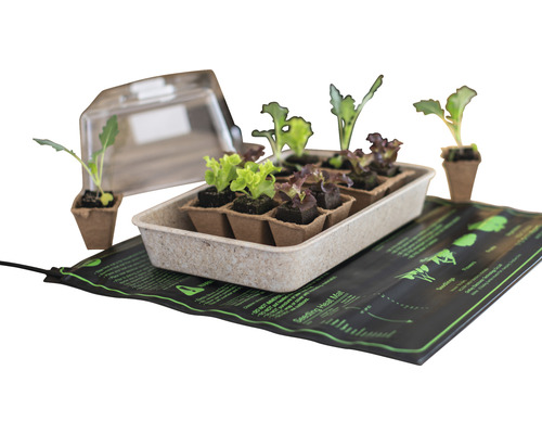 Sada pro pěstování s topnou podložkou, květináči a průhledným víkem pro pěstování rostlin.
