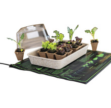 Sada pro pěstování rostlin s rostlinami, sadbovačem, průhledným víkem a topnou podložkou