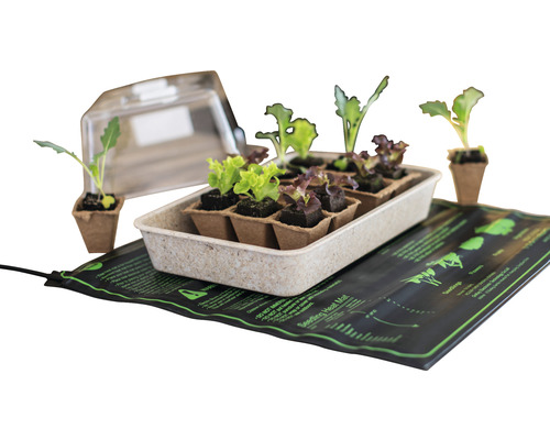 Sada pro pěstování rostlin s rostlinami, sadbovačem, průhledným víkem a topnou podložkou