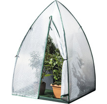 Malý skleník s rostlinami