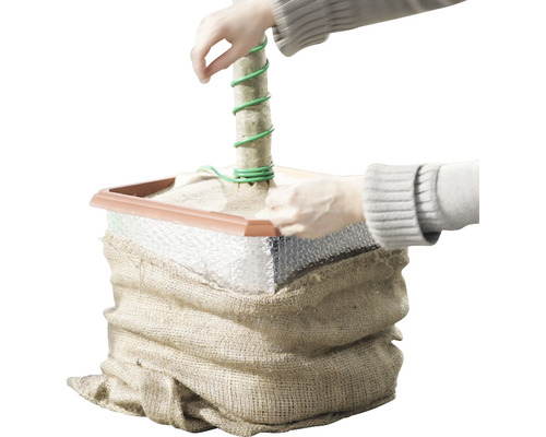 Upevnění kmene stromu do květináče s jutou