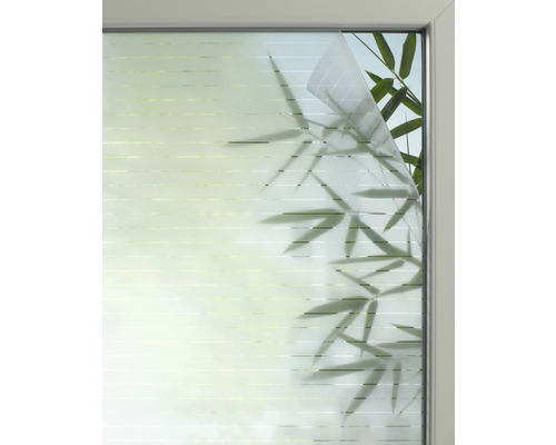 Okno s dekorativní fólií pro ochranu soukromí