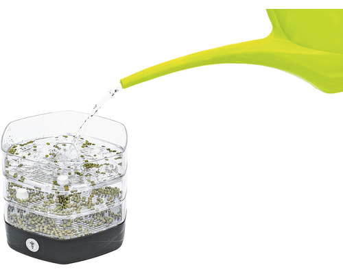 Klíčící sklenice se zavlažovacím systémem a semínky