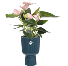 Obal na květináč plastový elho Vibes fold coupe Ø14 x 14,5 cm modrý