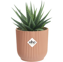 Obal na květináč plastový elho Vibes Ø 7 cm růžový