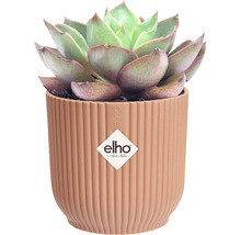 Obal na květináč plastový elho Vibes Ø 7 cm růžový