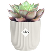 Obal na květináč plastový elho Vibes Ø 9 cm bílý