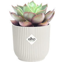 Obal na květináč plastový elho Vibes Ø 11 cm bílý