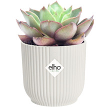 Obal na květináč plastový elho Vibes Ø 7 cm bílý