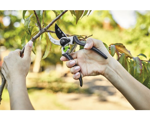 Osoba stříhá větev zahradními nůžkami.