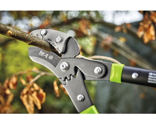 Nůžky na větve při stříhání větve