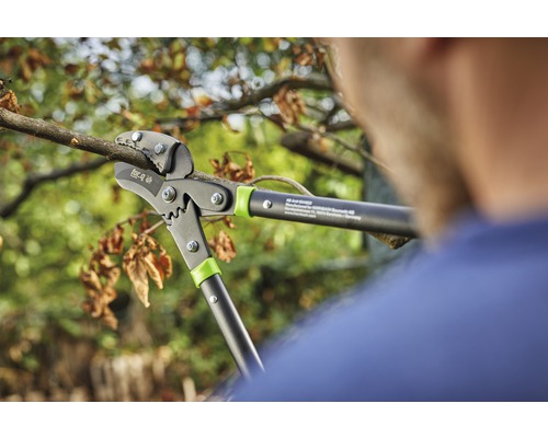 Nůžky na větve při stříhání větví.