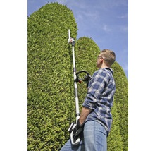 Muž stříhá vysoký živý plot pomocí plotostřihu s teleskopickou tyčí