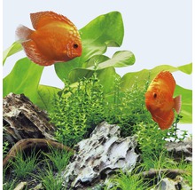 Akvarijní osvětlení Juwel LED Day 25 W 120 cm