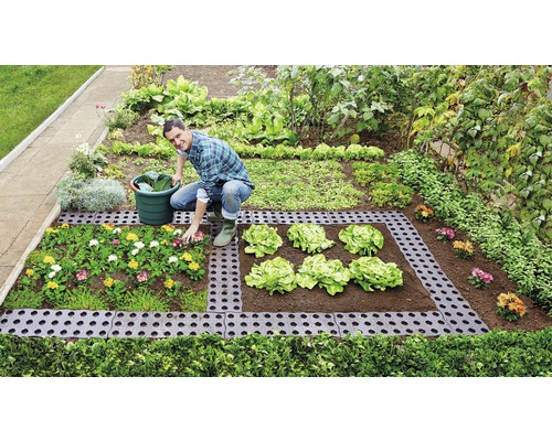 Muž sází květiny a salát na zahradě s obrubou záhonu