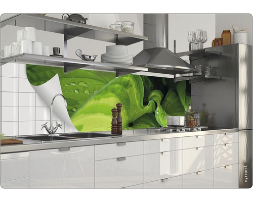 Kuchyňská scéna s pracovní deskou, dřezem, baterií a ochranou proti stříkající vodě s rostlinným motivem