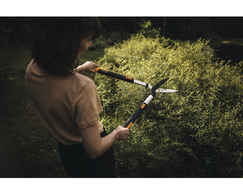 Žena stříhá živý plot nůžkami na živý plot