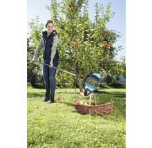 Žena sklízí jablka s pomocí sběrače ovoce a košíku na zahradě.