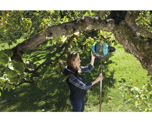 Žena sklízí ovoce pomocí sběrače ovoce na stromě na zahradě